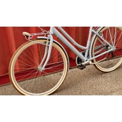 Classic Urban Bike - Stylish and Functional for the City